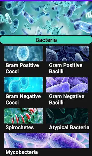 Play EazyMicro - Microbiology as an online game EazyMicro - Microbiology with UptoPlay