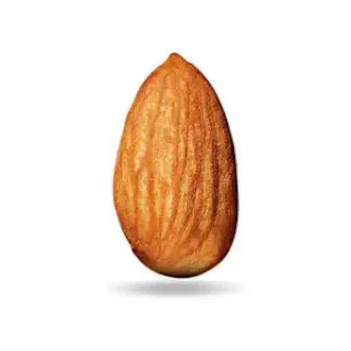 Play ebadam APK Play ebadam APK