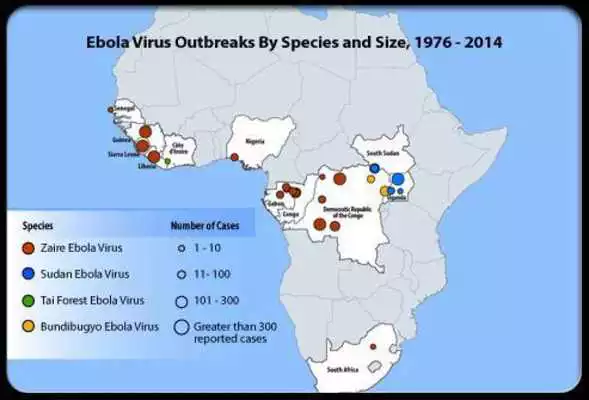 Play Ebola Virus Outbreak Play Ebola Virus Outbreak