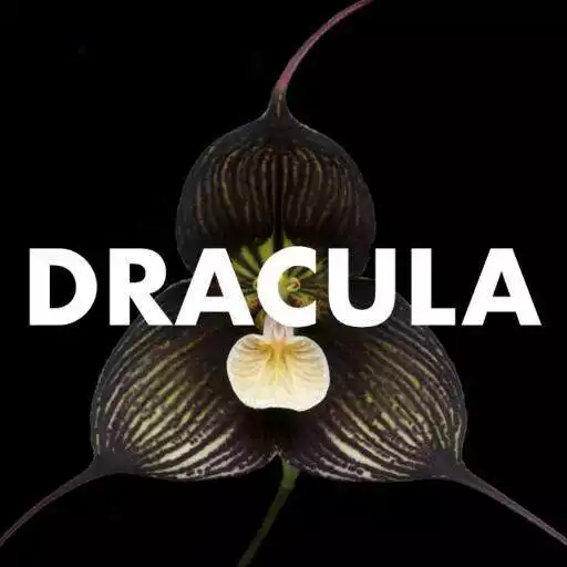 Play Ebook Dracula eReader APK