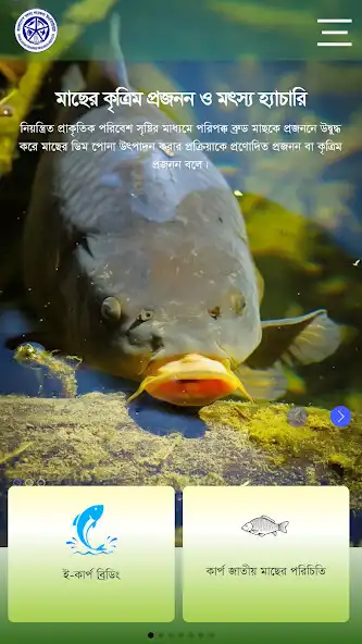 Play E-Carp Breeding  and enjoy E-Carp Breeding with UptoPlay