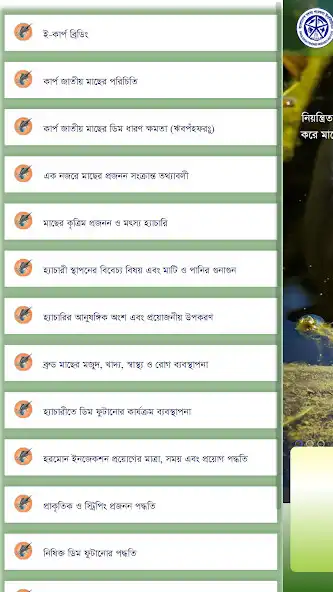 Play E-Carp Breeding as an online game E-Carp Breeding with UptoPlay