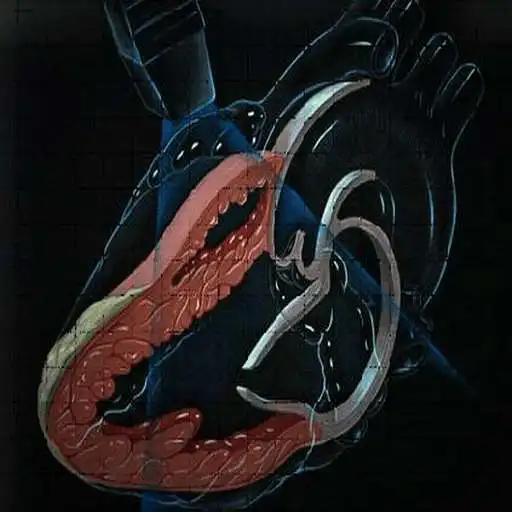 Free play online EchoCardioPro  APK