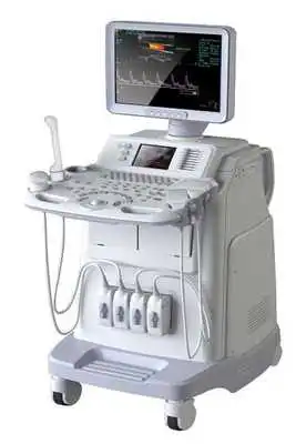 Play Echography