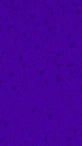 Play Echolocate  and enjoy Echolocate with UptoPlay