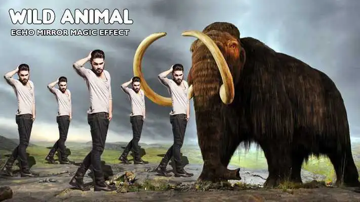 Play Echo Mirror Animal Effect : Echo Mirror Style