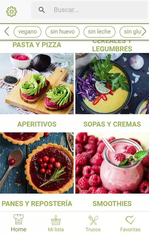 Play Ecochef