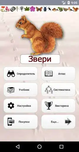 Play EcoGuide: Russian Wild Mammals - Tracks, Voices  and enjoy EcoGuide: Russian Wild Mammals - Tracks, Voices with UptoPlay