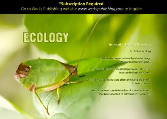 Play Ecology 1