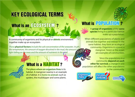 Play Ecology 1