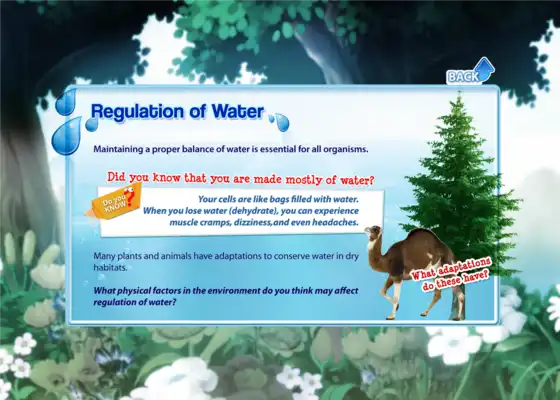 Play Ecology 1
