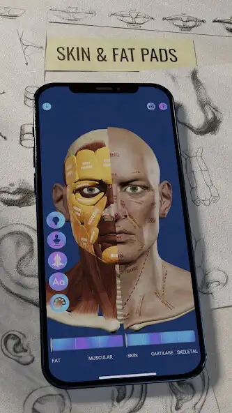Play Ecorche: Portrait Anatomy  and enjoy Ecorche: Portrait Anatomy with UptoPlay
