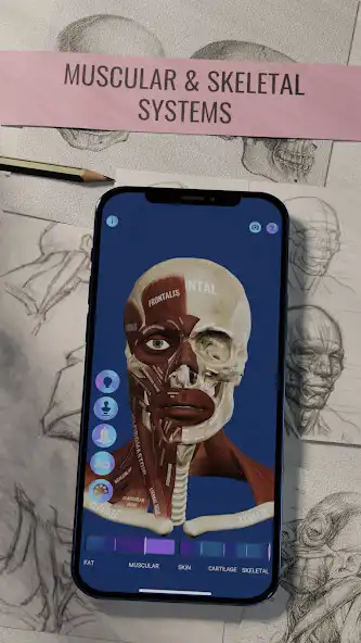 Play Ecorche: Portrait Anatomy as an online game Ecorche: Portrait Anatomy with UptoPlay