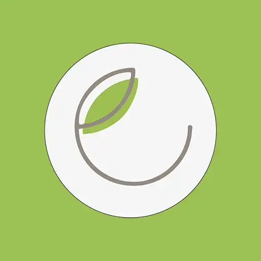Play Ecoshe Vegan Flashcard Quiz APK