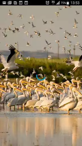 Play Ecotourism  and enjoy Ecotourism with UptoPlay