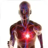 Free play online ECP Therapy APK