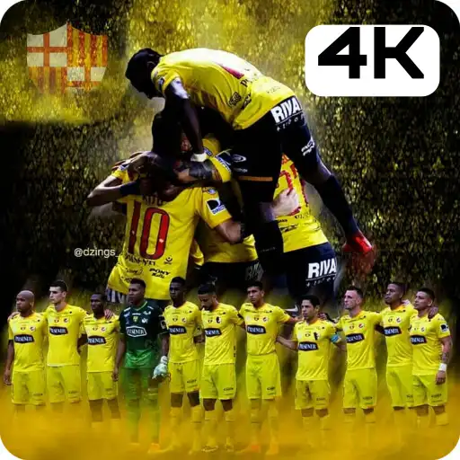 Play Ecuador Team Wallpapers 4K APK Play Ecuador Team Wallpapers 4K APK