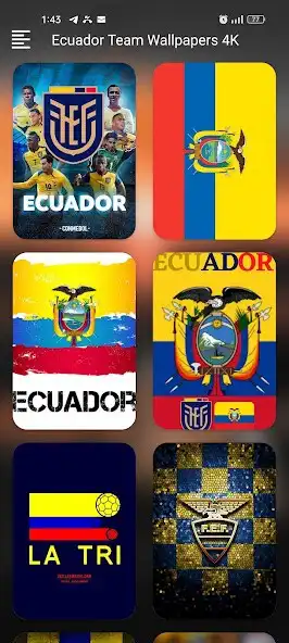 Play Ecuador Team Wallpapers 4K  and enjoy Ecuador Team Wallpapers 4K with UptoPlay