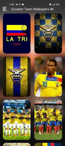 Play Ecuador Team Wallpapers 4K as an online game Ecuador Team Wallpapers 4K with UptoPlay