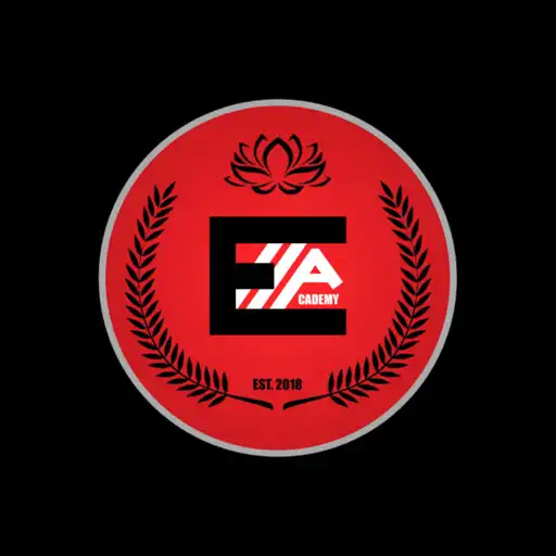 Play Edge11 Academy APK