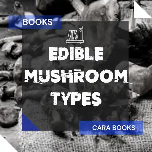 Play Edible mushrooms book APK Play Edible mushrooms book APK