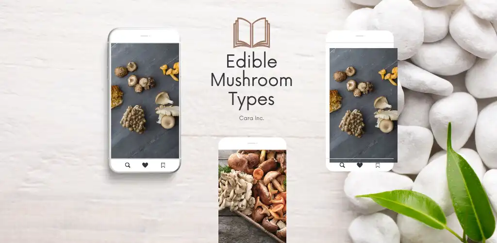 Play Edible mushrooms book  and enjoy Edible mushrooms book with UptoPlay