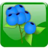 Free play online Edible Plant Propagation APK