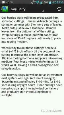 Play Edible Plant Propagation