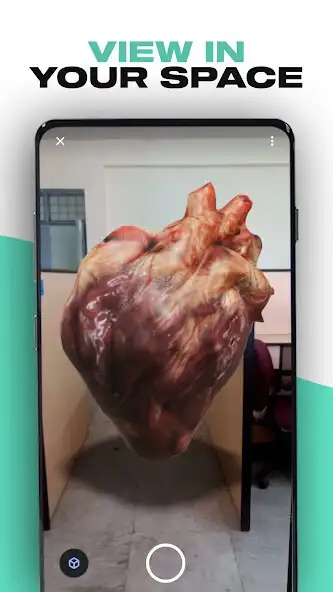 Play edorbit - AR Learning App as an online game online edorbit - AR Learning App with UptoPlay Play edorbit - AR Learning App as an online game edorbit - AR Learning App with UptoPlay