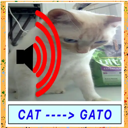 Play Educational Game - Custom Vocabulary Cards- APK Play Educational Game - Custom Vocabulary Cards- APK