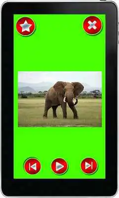 Play Educational Game For Kids
