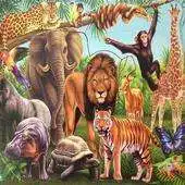 Free play online Educational ZOO APK Free play online Educational ZOO APK