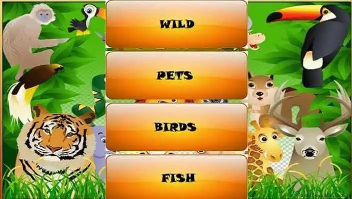 Play Educational ZOO Play Educational ZOO
