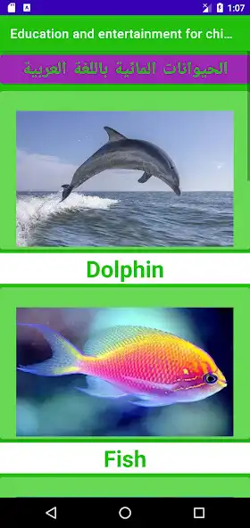 Play Education And Entertainment Fo as an online game Education And Entertainment Fo with UptoPlay