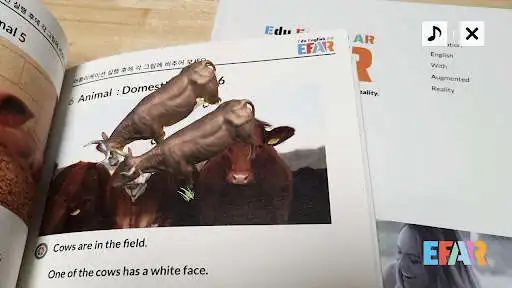 Play EEAR as an online game EEAR with UptoPlay