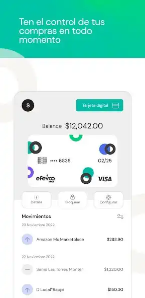 Play Efevoo Pay as an online game Efevoo Pay with UptoPlay