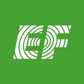 Free play online EF Go Ahead APK
