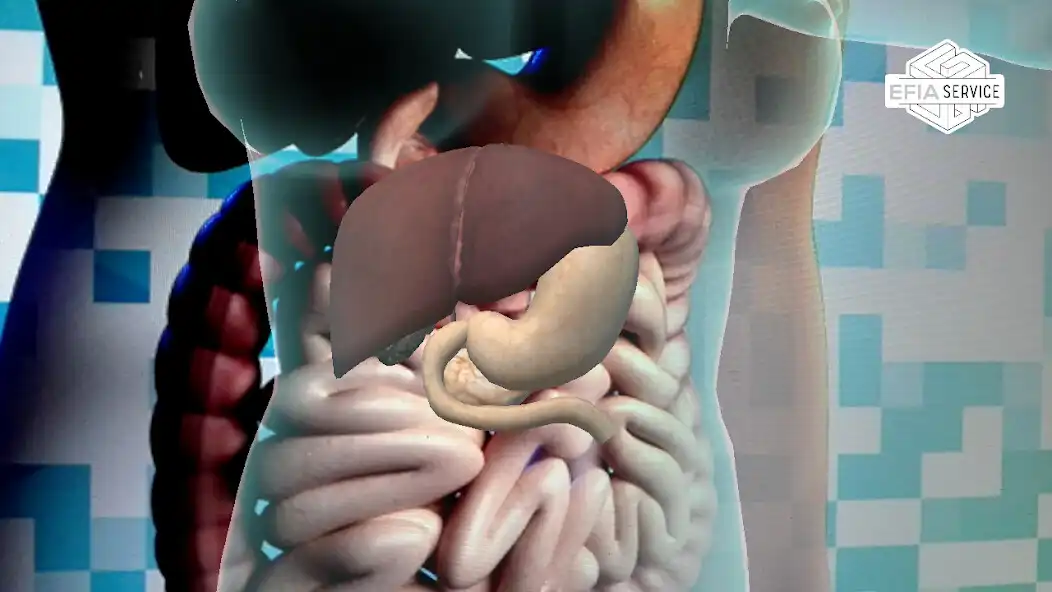 Play EFIA 3D as an online game EFIA 3D with UptoPlay