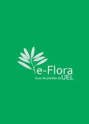 Play e-Flora UEL