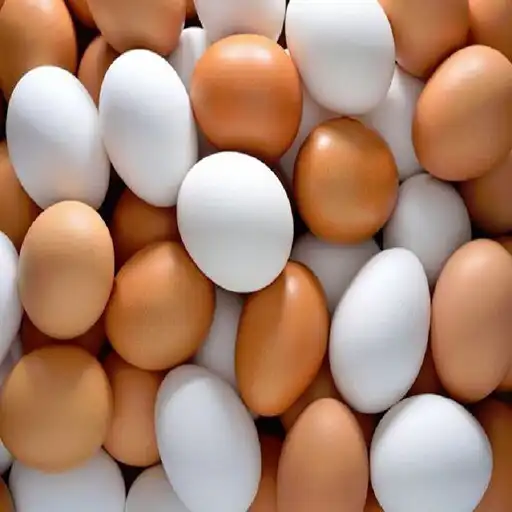 Play EggParlour APK Play EggParlour APK
