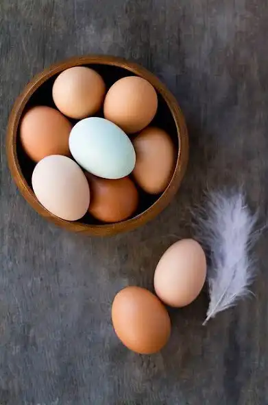 Play Egg Wallpaper as an online game online Egg Wallpaper with UptoPlay Play Egg Wallpaper as an online game Egg Wallpaper with UptoPlay