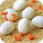 Free play online EGG Wallpapers v1 APK
