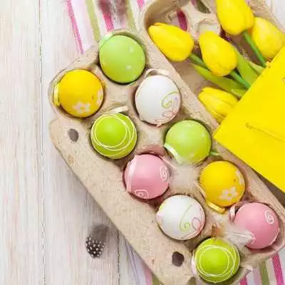 Play EGG Wallpapers v1