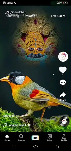 Play Ego Video Sort Video as an online game Ego Video Sort Video with UptoPlay