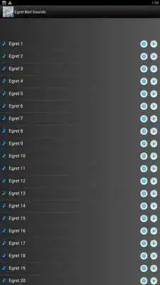 Play Egret Bird Sounds