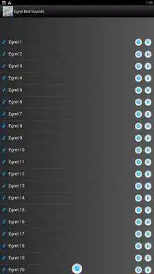 Play Egret Bird Sounds