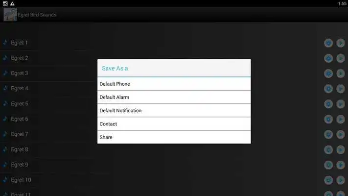 Play Egret Bird Sounds