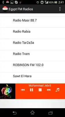 Play Egypt FM Radios