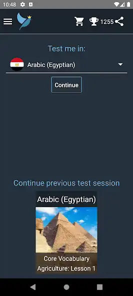 Play Egyptian Arabic Language Tests  and enjoy Egyptian Arabic Language Tests with UptoPlay