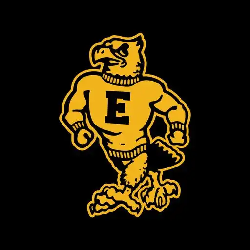 Play E-Hawks APK Play E-Hawks APK